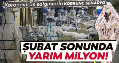 Koronavirüste korkunç tahmin! Şubat sonunda yarım milyon kişi....