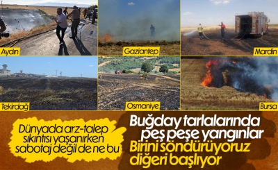 Küresel gıda krizi alarm verirken, Türkiye'de buğday tarlaları yanıyor