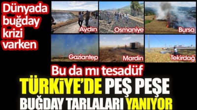 Küresel gıda krizi alarm verirken, Türkiye'de buğday tarlaları yanıyor
