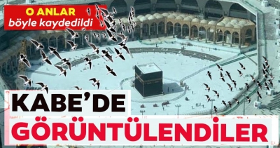Dezenfekte çalışmaları için kapatılan Kabe'yi Ebabil Kuşları tavaf etti.