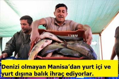 Manisa Habercilik - Denizi olmayan Manisa’dan balık ihraç ediyorlar.                      