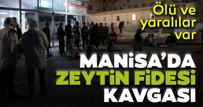 Manisa Habercilik - Manisa'nın Salihli ilçesinde, zeytin fidesi kavgası: 1 ölü, 7 yaralı...