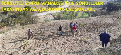 Manisa Turgutlu İlçesi, Sinirli Mahallesinde Gönüllüler tarafından Ağaçlandırma çalışmaları