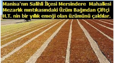 Manisa'nın Salihli İlçesinde, Filmlere konu olacak Hırsızlık olayında mağdur olan Üretici H.T. Yaşadığı olayı, İçişleri Bakanlığına ve Cumhurbaşkanımıza bildirdi.