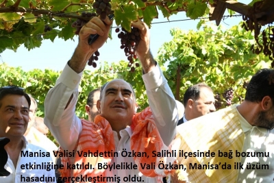 Manisa’nın yeni valisi Vahdettin Özkan’dan ilk üzüm hasadı