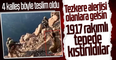 Mehmetçik'ten 1917 rakımlı tepede nokta operasyon: Mağarada saklanan teröristler teslim oldu 