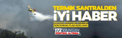 Milas'taki termik santrale sıçrayan yangın söndü