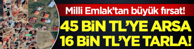 Milli Emlak'tan büyük fırsat: 45.000 TL'ye arsa, 16 bin TL'ye tarla...