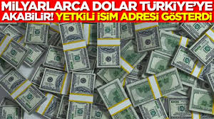Milyarlarca dolar Türkiye'ye akabilir: Yetkili isim adresi gösterdi