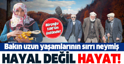Ordu'nun Gölköy ilçesinde 100 yaşını deviren birçok kişi yaşıyor! İşte uzun yaşamlarının sırrı....