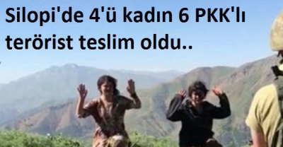 PKK'da çözülme! Topluca teslim oldular!