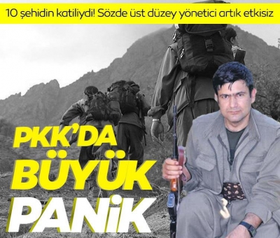 Şehitlerimizin kanı yerde kalmadı! PKK'da büyük panik 