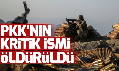 Siirt'te Mavi listede aranan PKK'lı terörist öldürüldü.