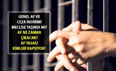   Son dakika Meclis tatile girmeden af yasası çıkacak? 