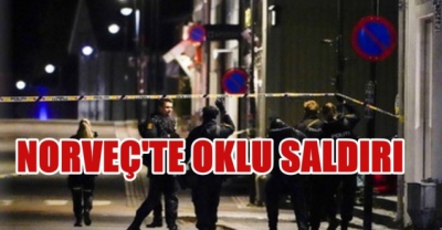 Son dakika... Avrupa'nın göbeğinde ok ve yayla katliam! Can havliyle kaçıştılar