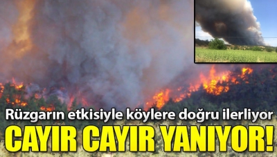 Manisa Habercilik - Gelibolu Yarımadası'nda büyük yangın! Köyler boşaltılıyor 