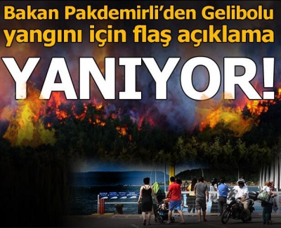 Son dakika: Bakan Pakdemirli'den Gelibolu'daki orman yangınına ilişkin açıklama.