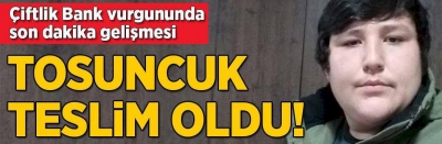 Son dakika: Çiftlik Bank'ın kurucusu 'Tosuncuk' lakaplı Mehmet Aydın Brezilya'da teslim oldu! Türkiye'ye iadesi nasıl olacak? 