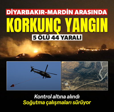 Son dakika haberi! Diyarbakır ve Mardin'de anız yangını: 5 ölü, 10'u ağır 44 yaralı