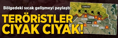 Son dakika... Irak'ın kuzeyinden yeni haber! Teröristler cıyak cıyak...