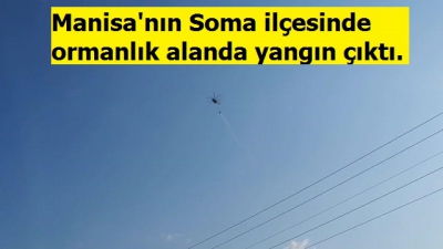 Son dakika. Manisa'nın Soma ilçesinde ormanlık alanda çıkan yangın kontrol altına alındı.