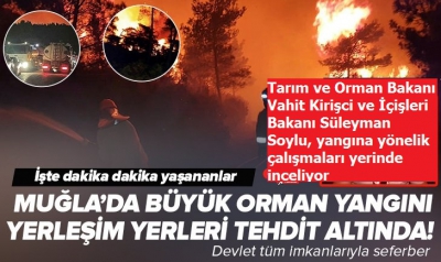 Son dakika: Marmaris'teki yangın rüzgarın şiddetiyle büyüdü: Evler tahliye edildi...