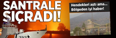 Son dakika: Milas'taki orman yangını Kemerköy Termik Santrali'ne sıçradı! Santralde alevler etkisini yitirdi...