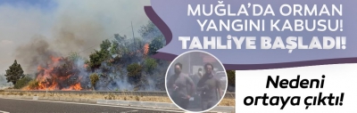 Son dakika: Muğla Ula'da orman yangını: Evler tahliye edildi! Kara yolu ulaşıma kapatıldı