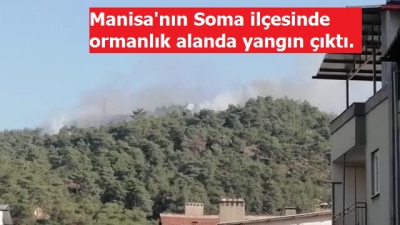 Son dakika Soma'daki orman yangını kontrol altına alındı