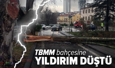 Son dakika: TBMM bahçesine yıldırım düştü!.