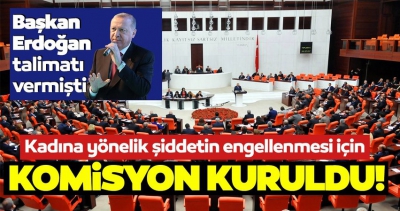 Son dakika: TBMM'de kadına yönelik şiddetin önlenmesi için komisyon kararı 