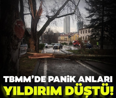 Son dakika: TBMM'de panik! Meclis bahçesine yıldırım düştü 