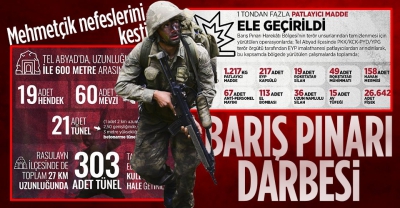 SON DAKİKA: Terör örgütlerine “Barış Pınarı” darbesi: 711 terörist etkisiz hale getirildi 