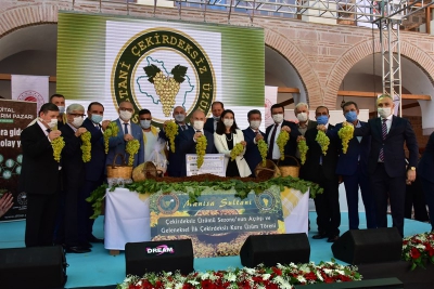 Tarım ve Orman Bakanı Bekir Pakdemirli, Canlı Yayına Katılarak Manisa’da Üzüm Rekoltesini Açıkladı.