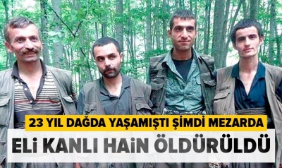 Terörist İbrahim Şengül'ün 23 yıllık PKK macerası sona erdi.