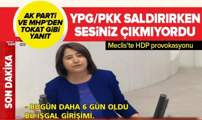 Türk askerine 'işgalci' diyen HDP'liye ABD-Rusya cevabı