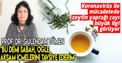 Türk hekimler araştırdı: Zeytin yaprağı çayı koronavirüs tedavisinde umut oldu 