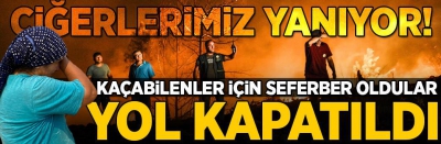 Türkiye genelindeki yangınlarda son durum ne? Tarım ve Orman Bakanı Bekir Pakdemirli son dakika olarak açıkladı. 