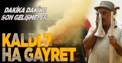 Türkiye yangınlar son durum! Yangınlar nerede devam ediyor? Manavgat, Köyceğiz, Muğla, Antalya, Isparta, İzmir..