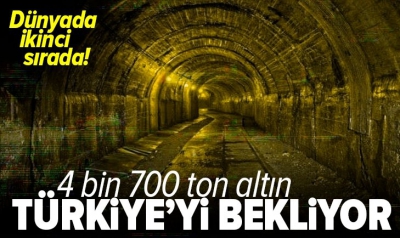 Türkiye'de 4 bin 700 ton potansiyel altın madeni kaynağı var