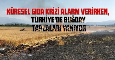 Türkiye’de peş peşe buğday tarlaları yanıyor! Bu da mı tesadüf…